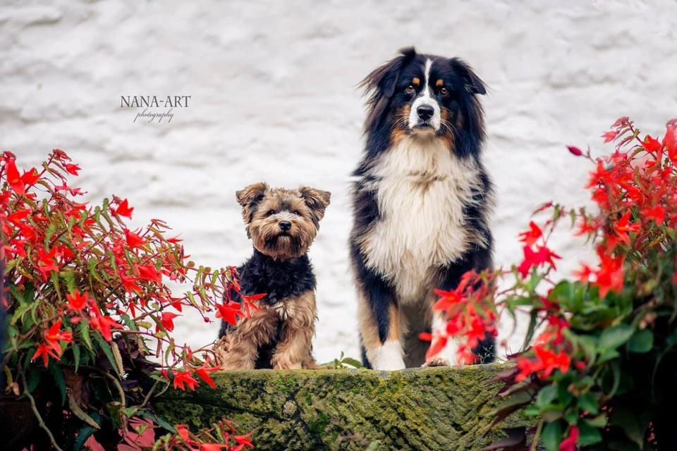 Hotel Restaurant Jägerhof Hotel in Düren