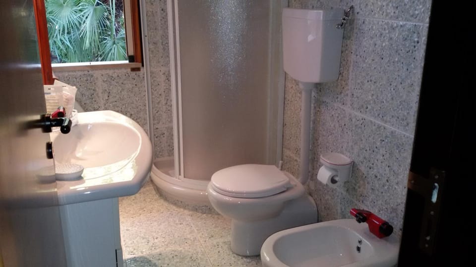 Shower, Toilet, Bathroom, bidet