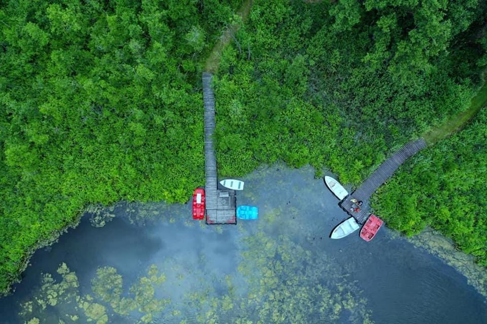 Neighbourhood, Natural landscape, Bird's eye view, Lake view