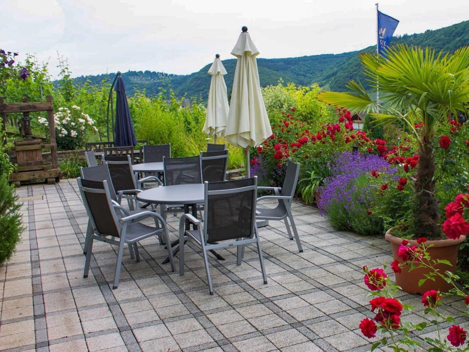 Garden, Mountain view