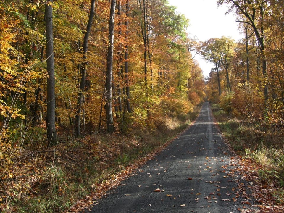 Natural landscape