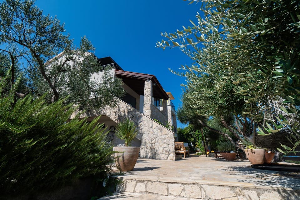 Property building, Garden, sunbed