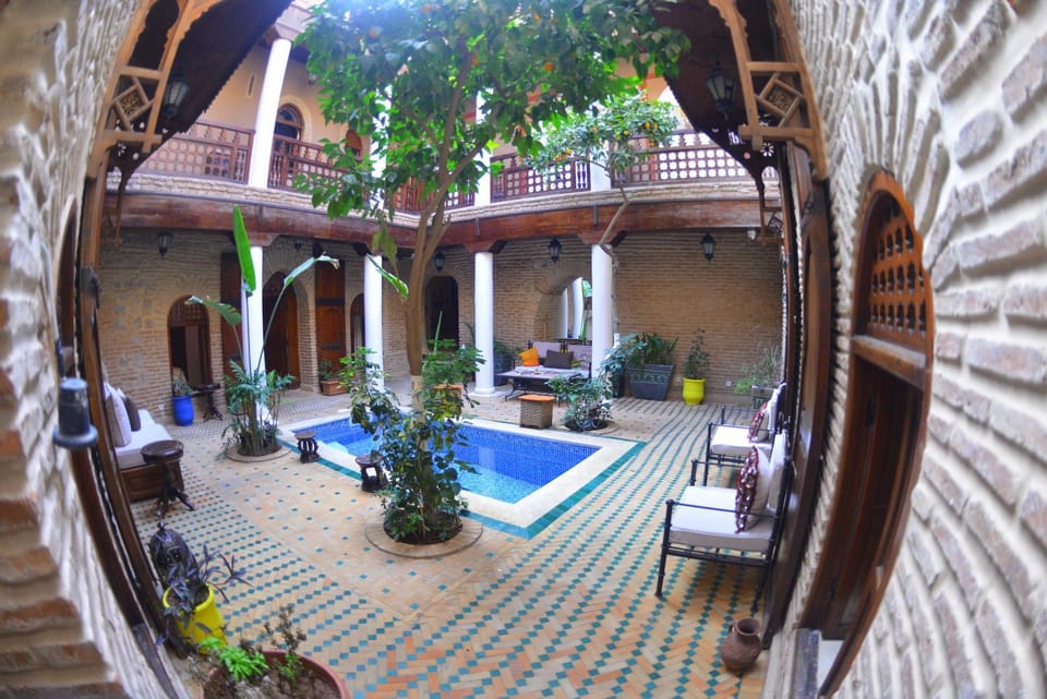 Patio, Garden, Swimming pool