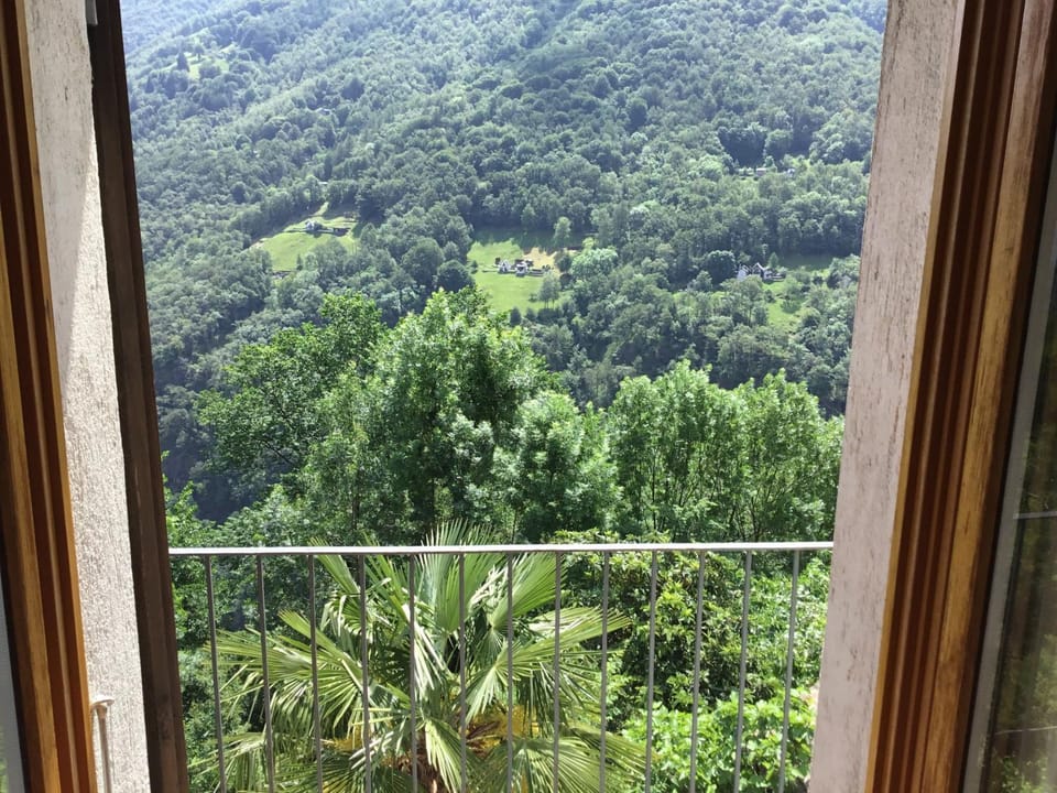 Mountain view