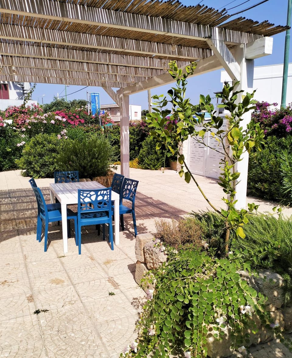 Day, Garden, Garden view