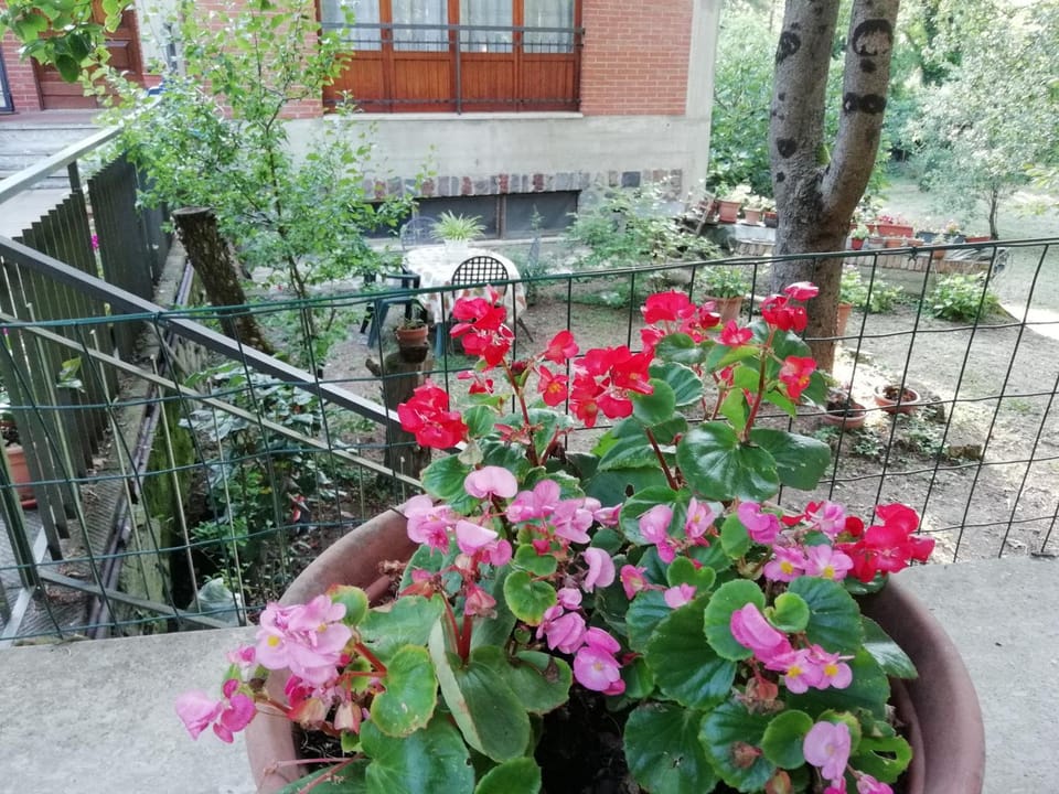 Day, Garden