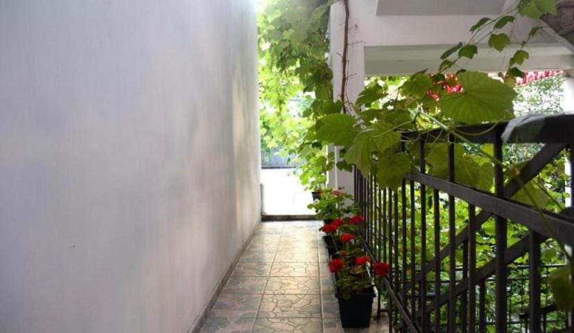 Guest House Central Park Bed and Breakfast in Batumi