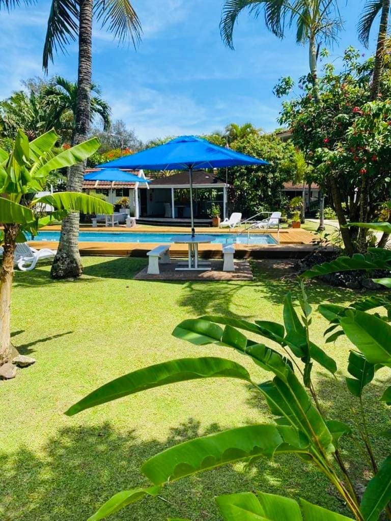 Garden, Swimming pool