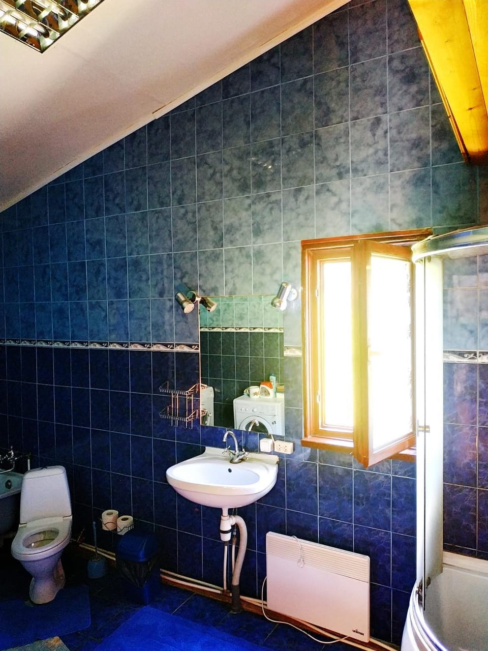 Shower, Toilet