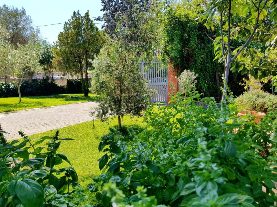 B&B Welcome Bed and Breakfast in Sicily