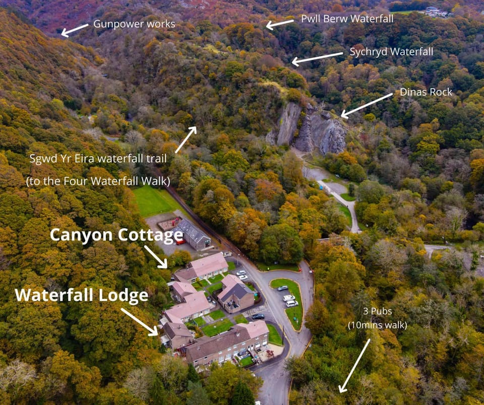 Neighbourhood, Natural landscape, Bird's eye view