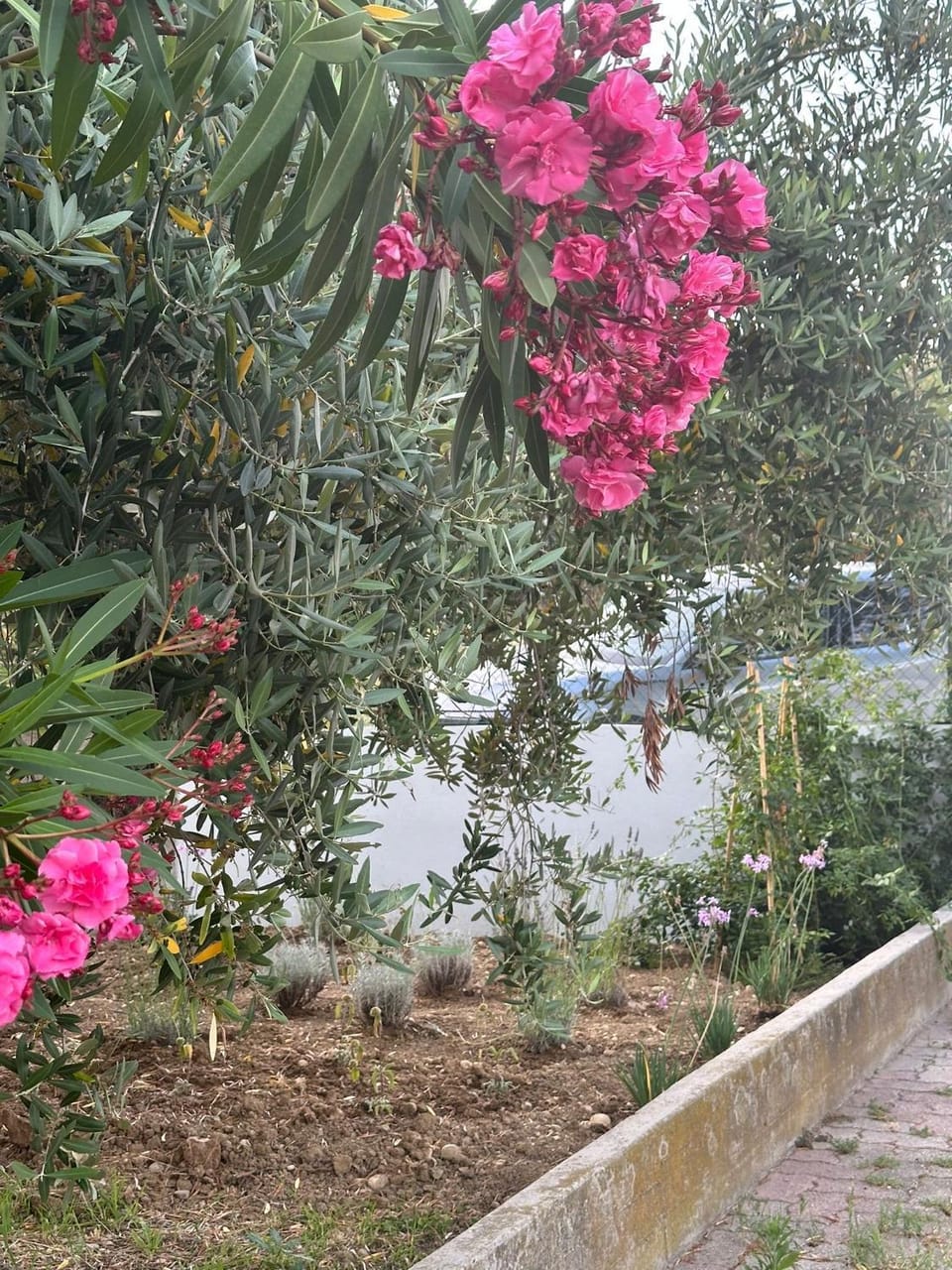 La Foresteria- Azienda agricola Garra Country House in Abruzzo