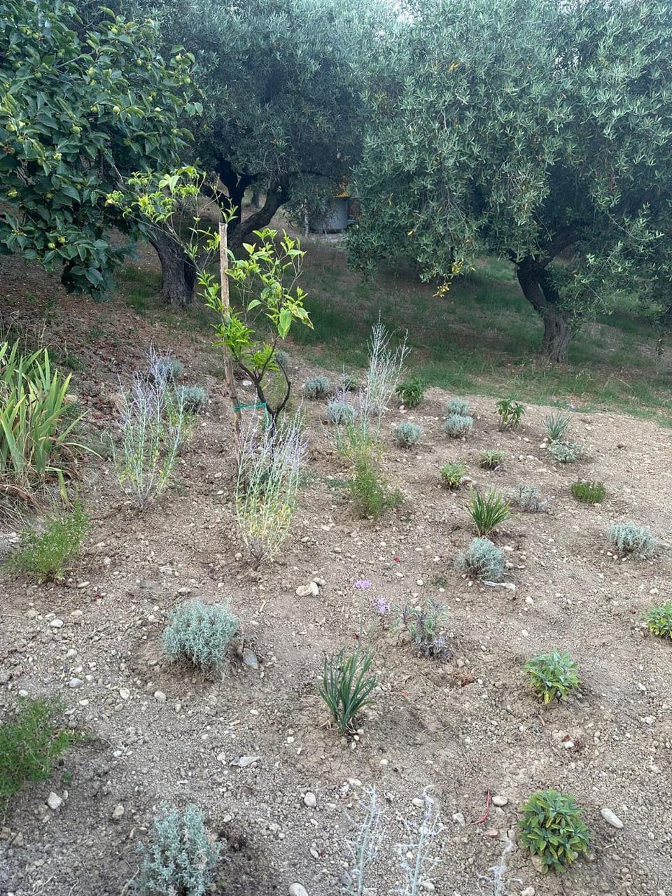 La Foresteria- Azienda agricola Garra Country House in Abruzzo