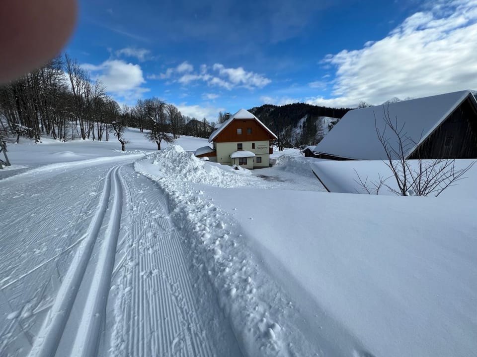Day, Natural landscape, Winter