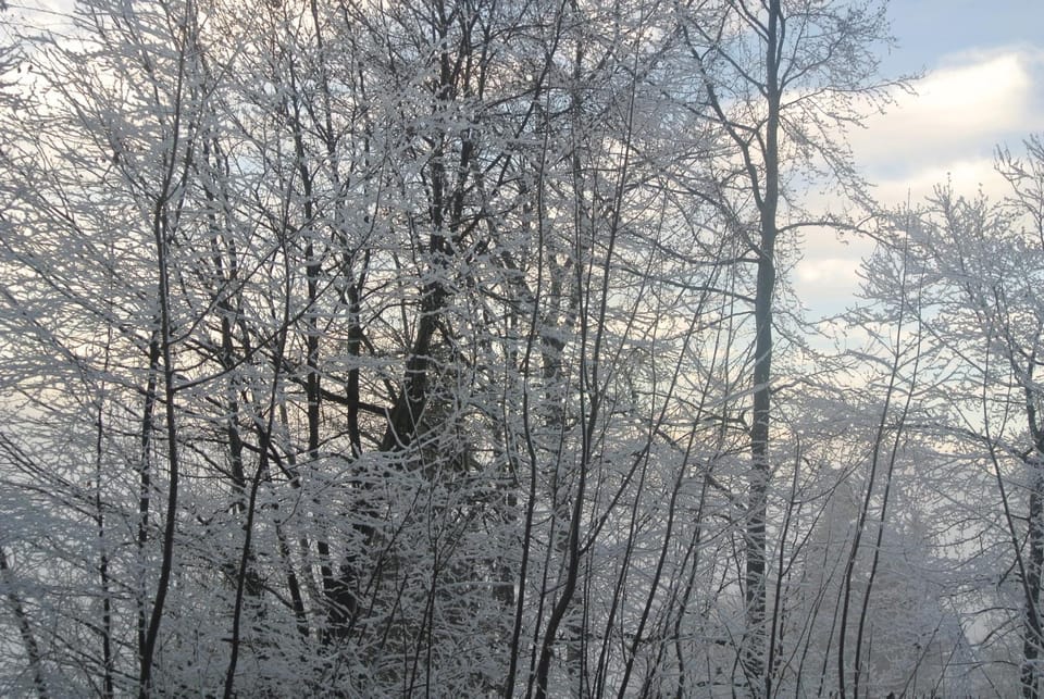 Natural landscape