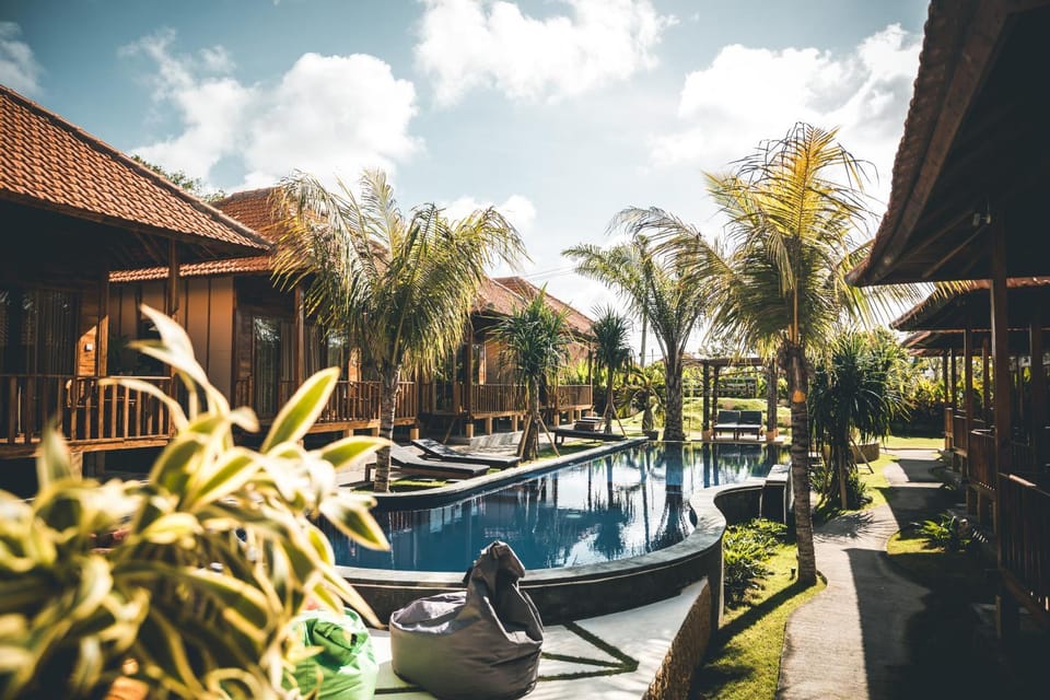 Property building, Day, Natural landscape, Garden, Garden view, Pool view, Swimming pool, Swimming pool, sunbed