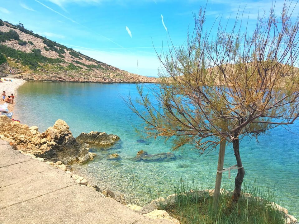 Summer