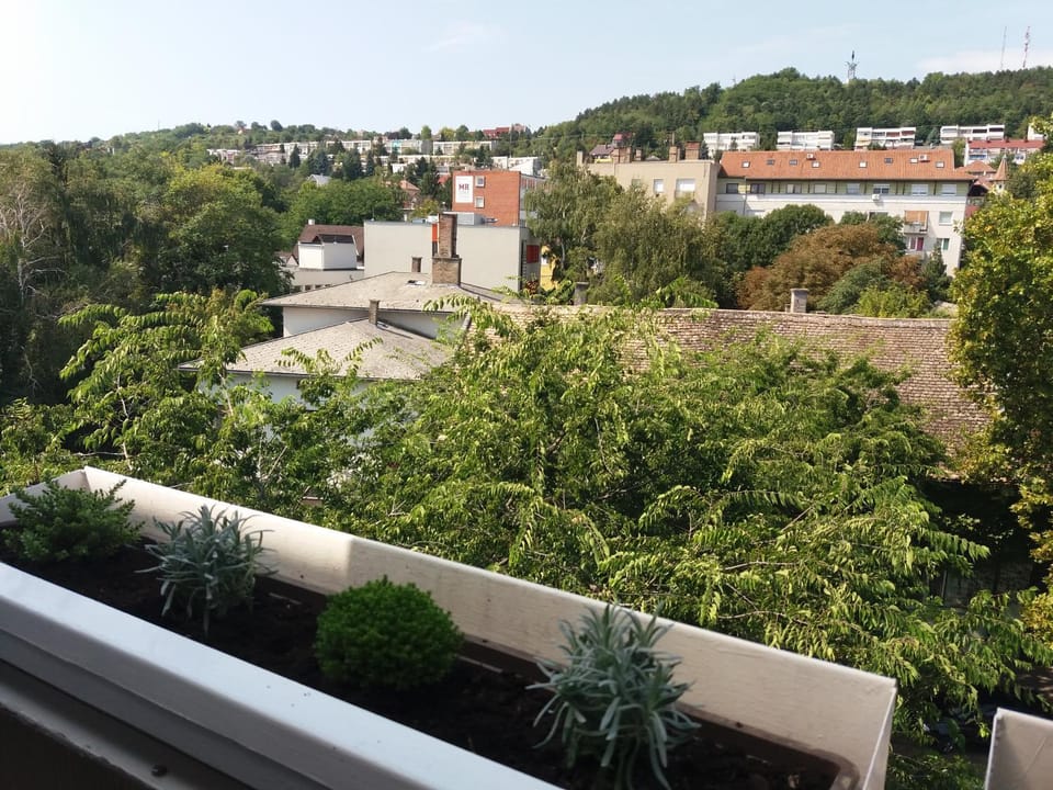 Málnás Macska Apartman Apartment in Hungary