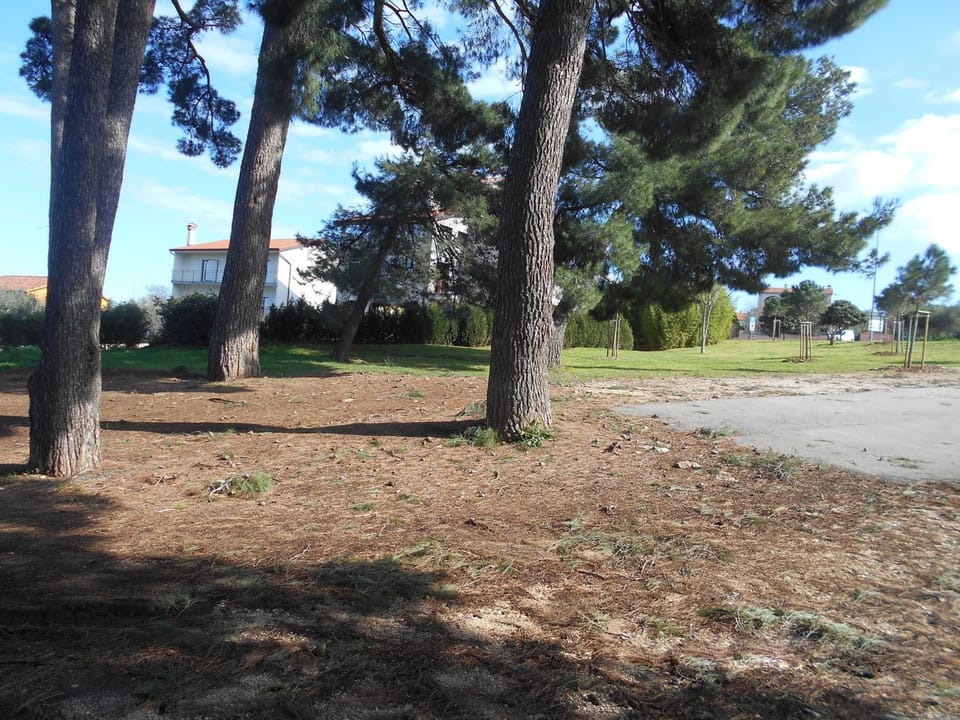 Location