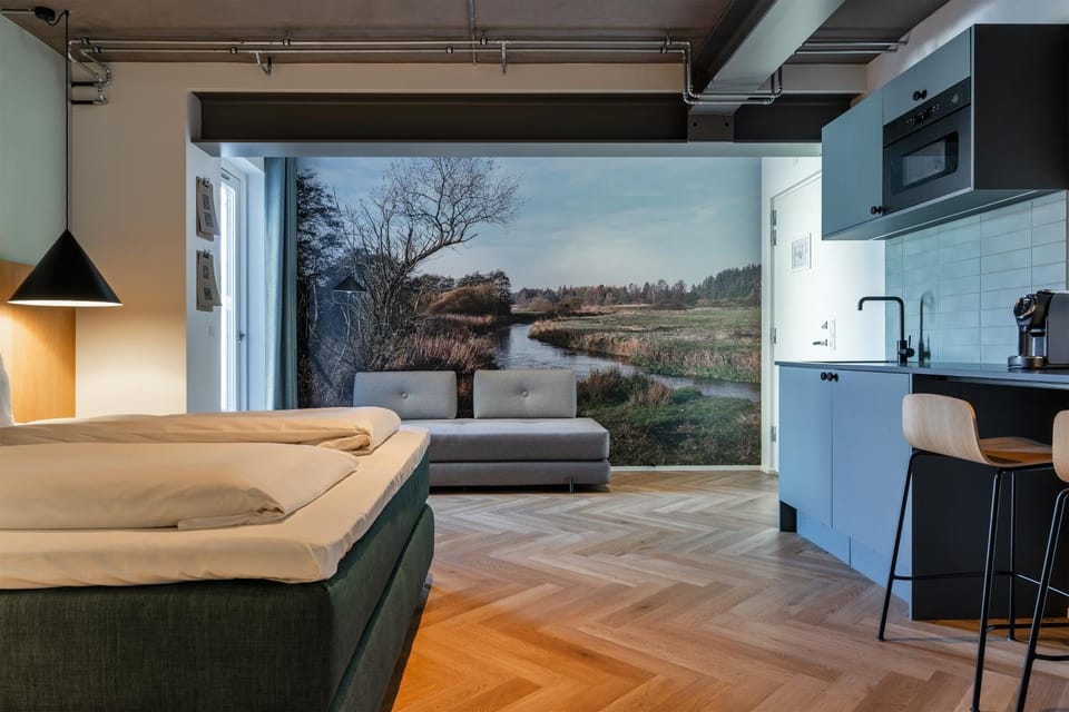 Bed, Kitchen or kitchenette, Seating area, Bedroom