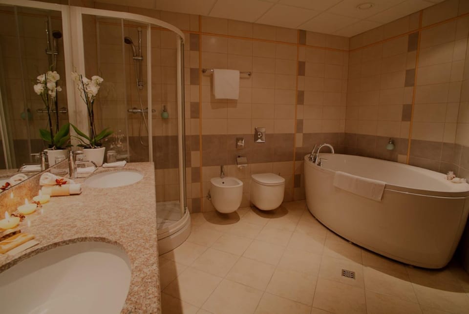Toilet, Bathroom, Bath, bidet