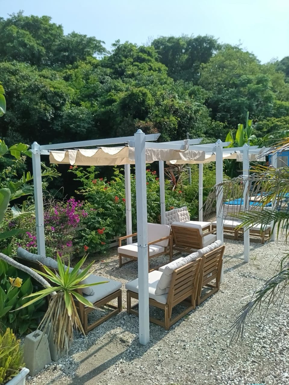 Day, Natural landscape, Garden, Garden, Lounge or bar, Garden view