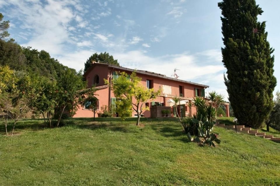 Property building, Day, Garden
