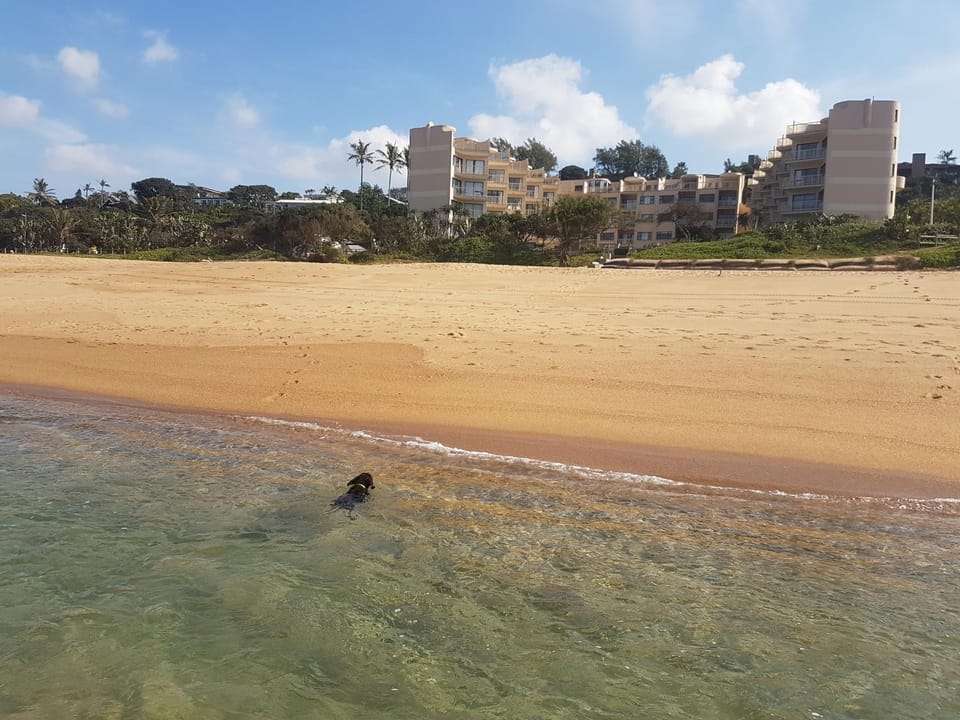 Beach, Sea view