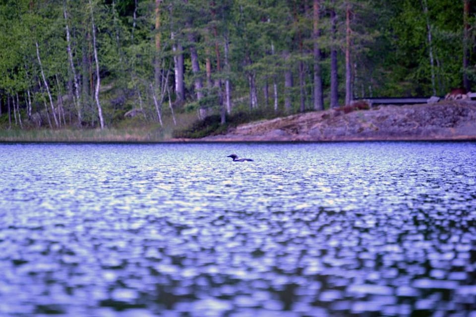 Natural landscape