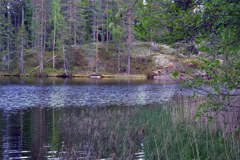 Lake view