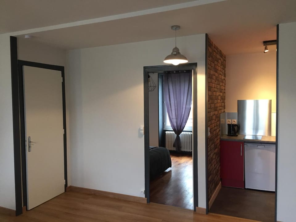 L'Oasis Appartement Cosy avec Climatisation, Parking, Vélos , Animaux Bienvenus Apartment in Centre-Val de Loire