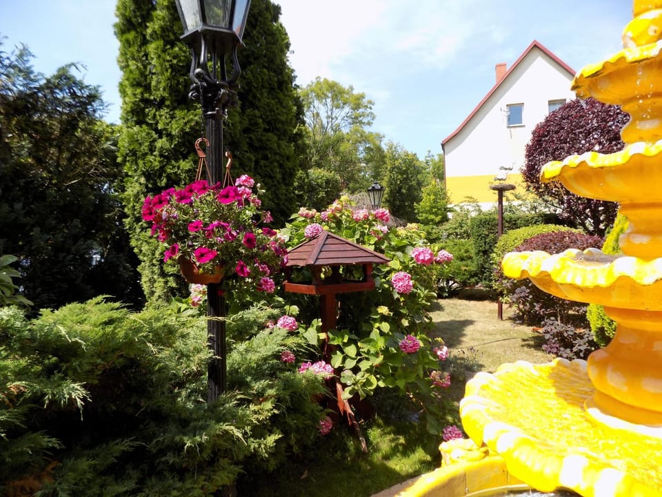 Garden, Balcony/Terrace