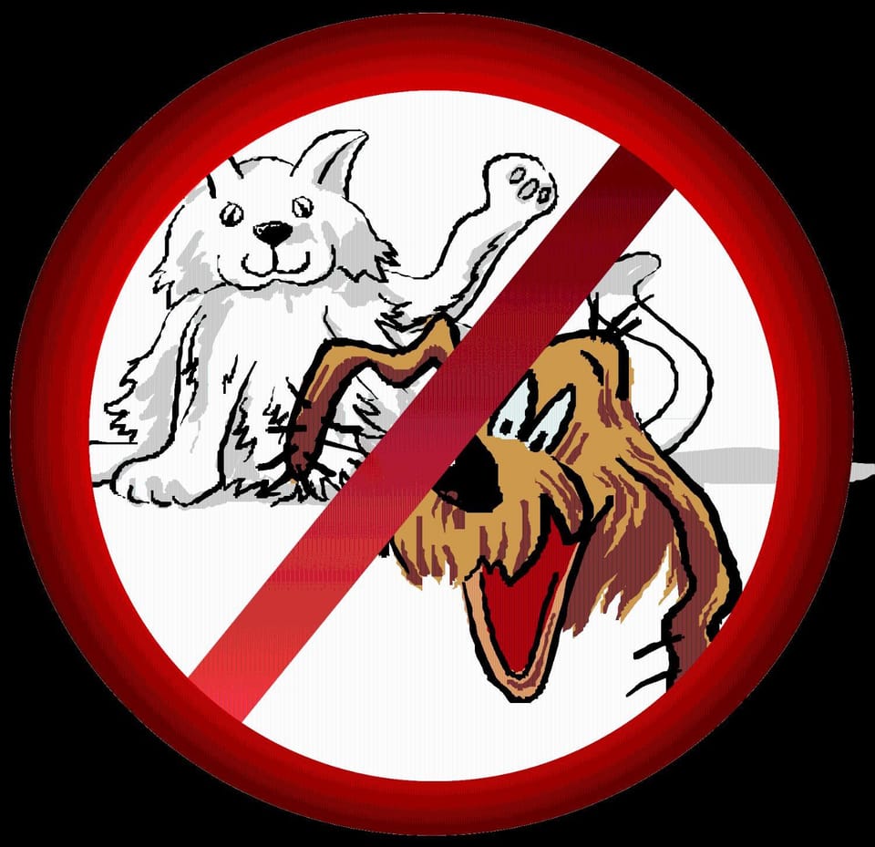 Animals