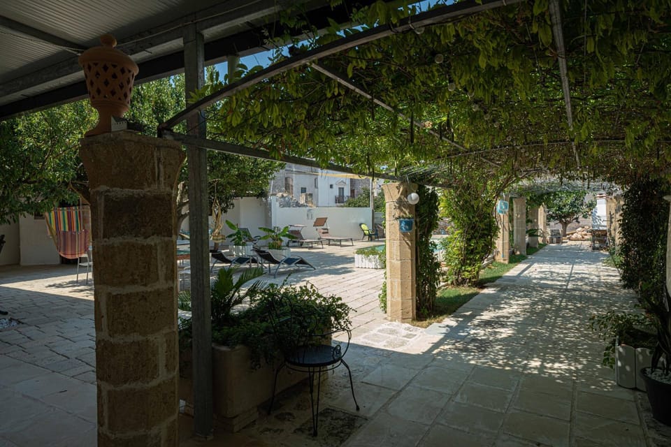 Garden, Swimming pool