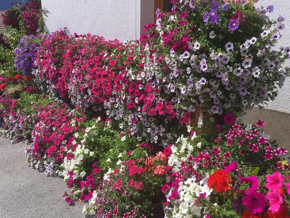 Pension Burgschroffen Bed and Breakfast in Trentino-South Tyrol