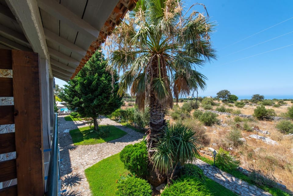 Garden view