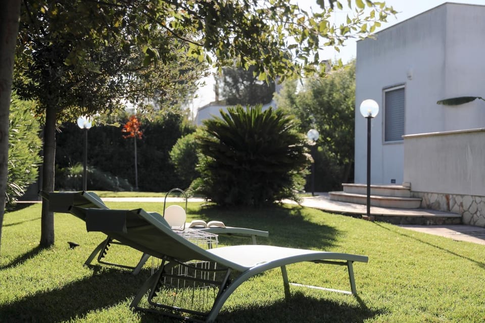 Natural landscape, Garden, Garden view, sunbed