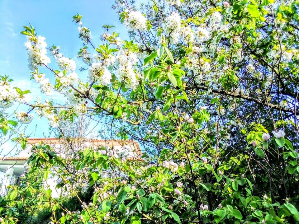 Casa Vale do Rio Ovil Bed and Breakfast in Porto District