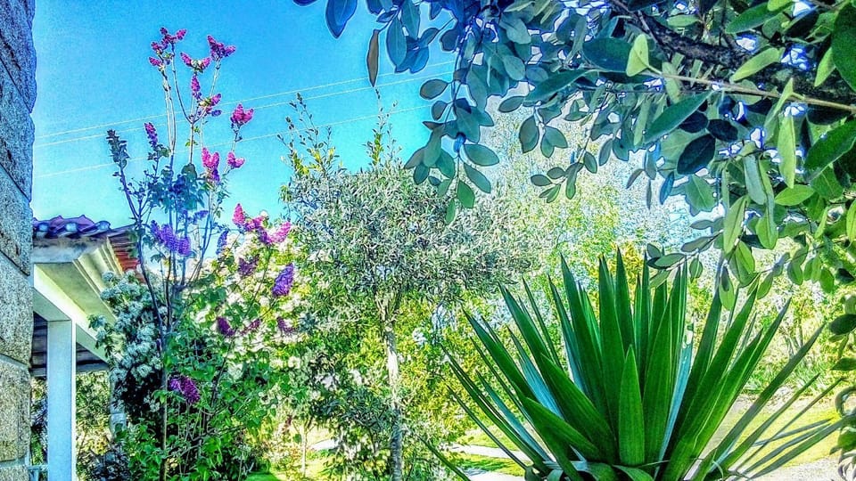 Casa Vale do Rio Ovil Bed and Breakfast in Porto District