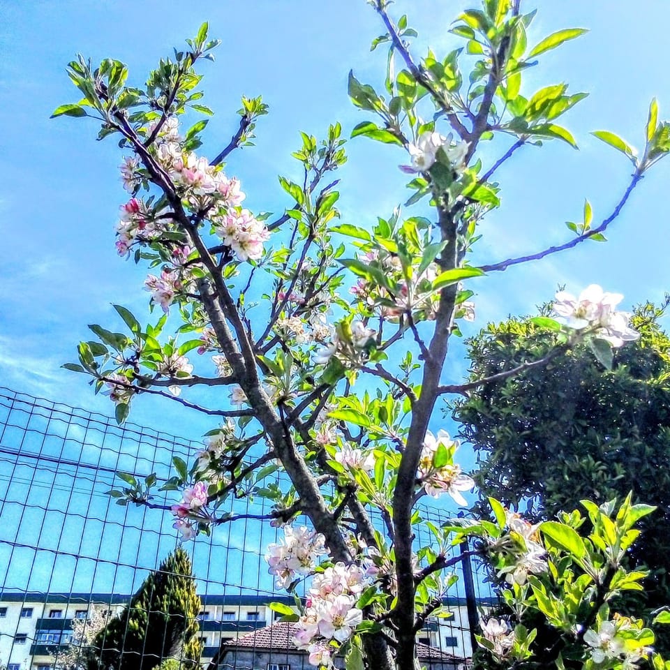 Casa Vale do Rio Ovil Bed and Breakfast in Porto District