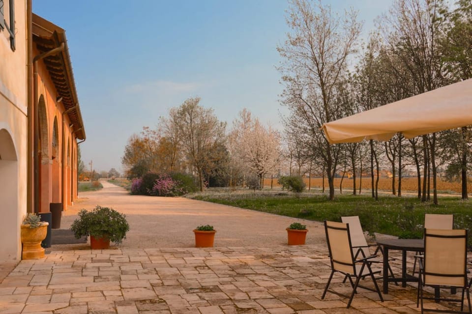 Patio, Spring, Day, Garden, Garden view