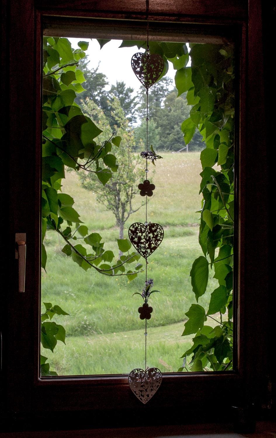 Garden, View (from property/room)