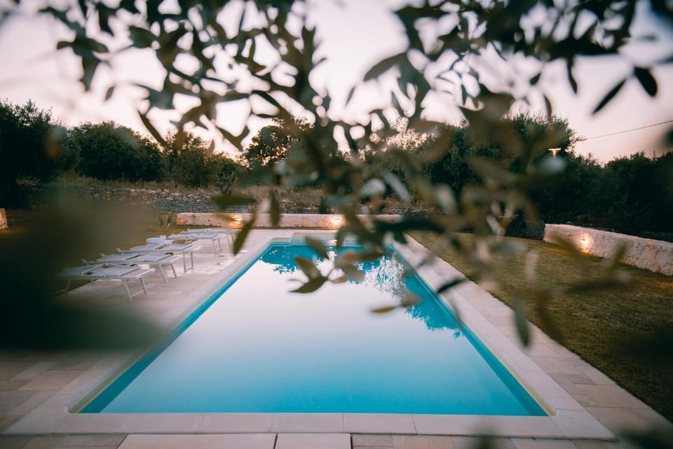 Garden, Garden view, Pool view, Swimming pool, sunbed