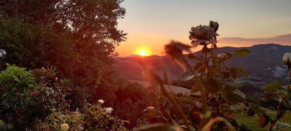B&B La Terrazza Del Subasio Bed and Breakfast in Umbria