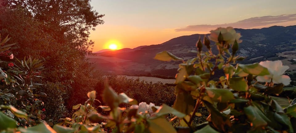 B&B La Terrazza Del Subasio Bed and Breakfast in Umbria