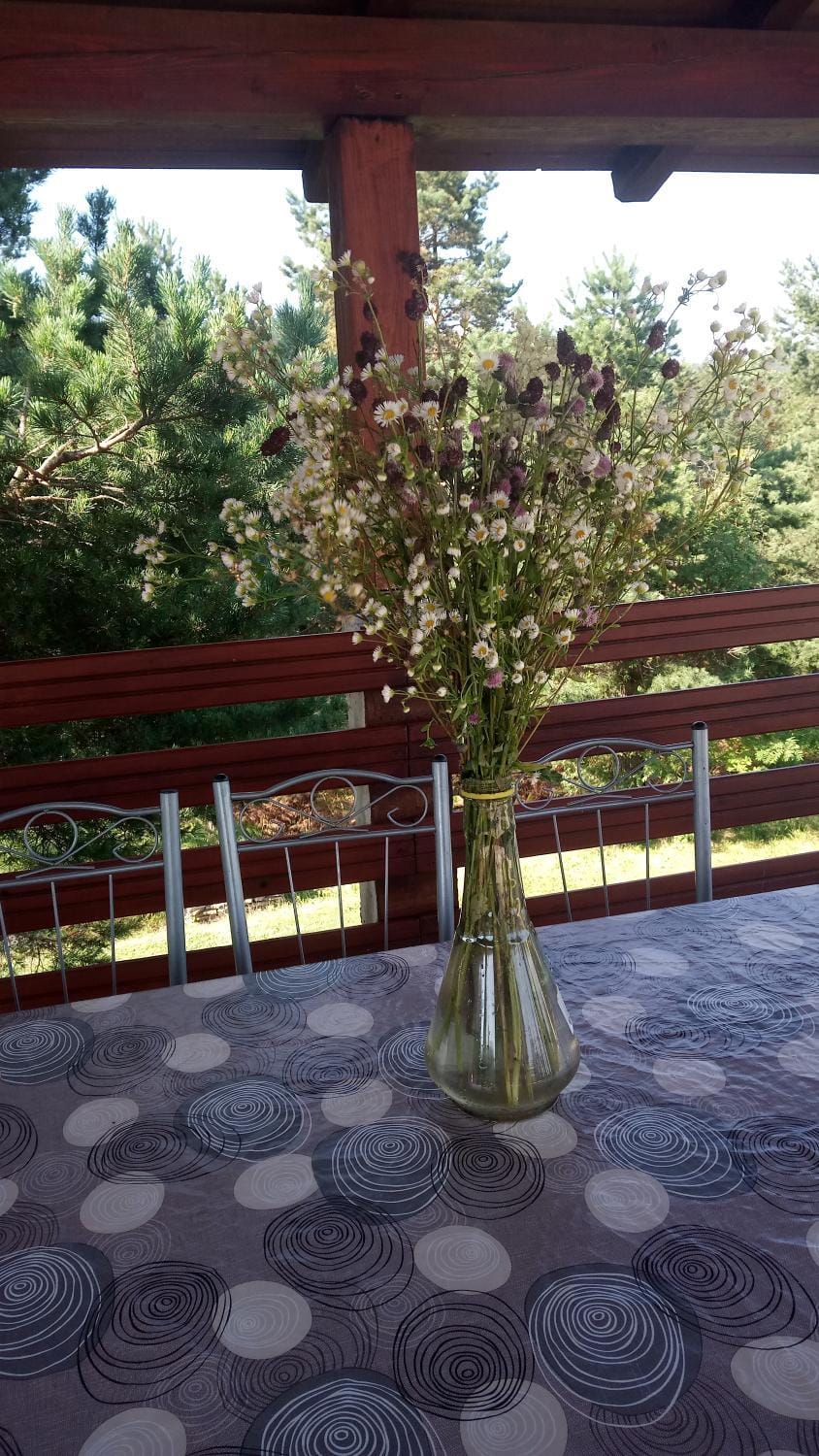 Apartments Marija Apartment in Zlatibor District, Serbia