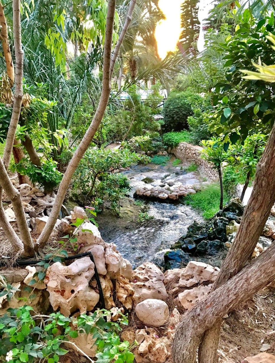 Garden view