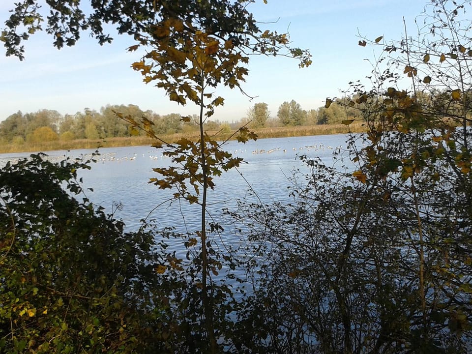 Autumn, On site, River view