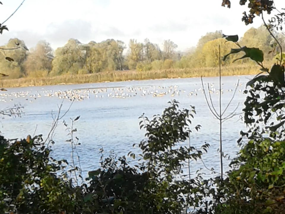 Off site, Autumn