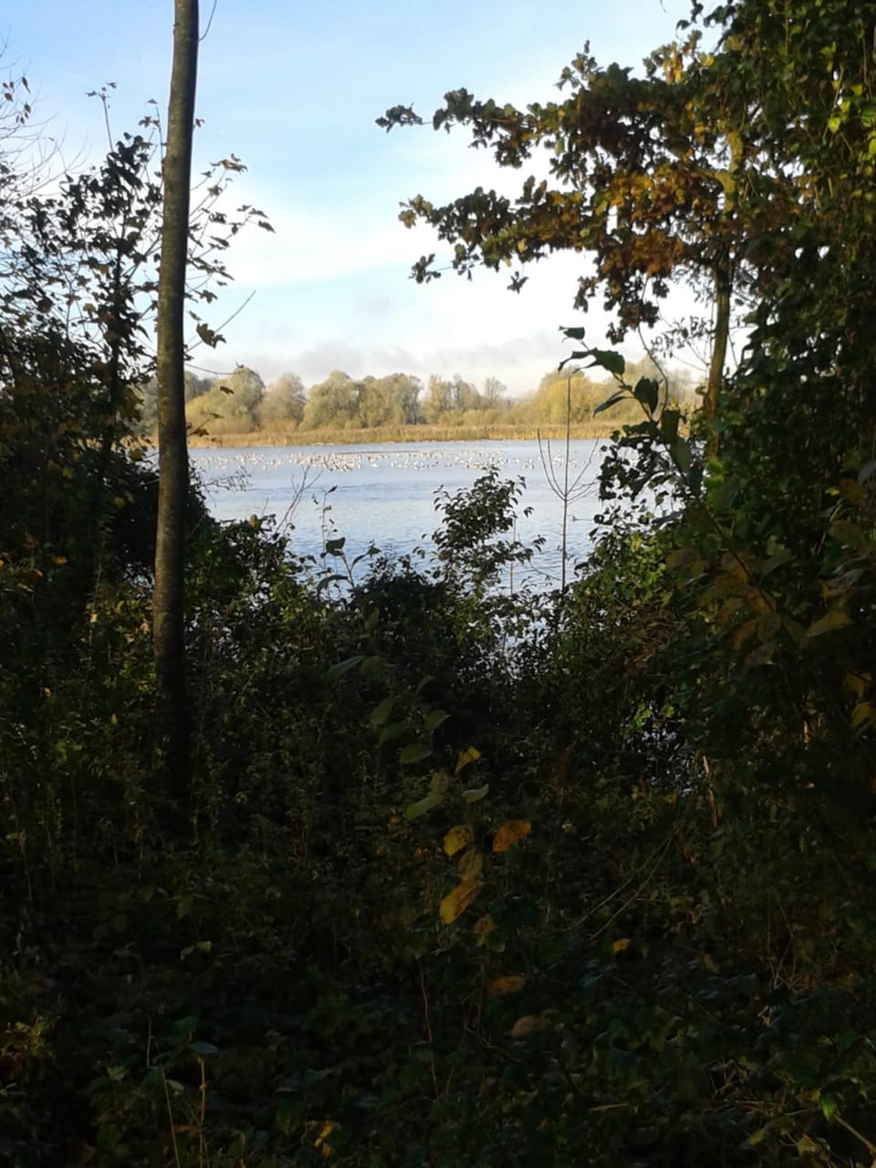 Autumn, On site